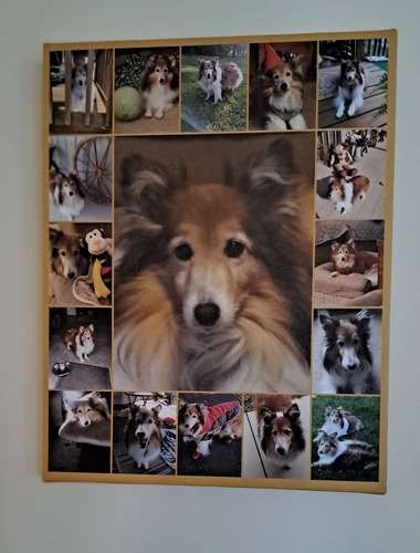Photo du client Regina pour l'évaluation Impression Photocollage Toile 11x14"